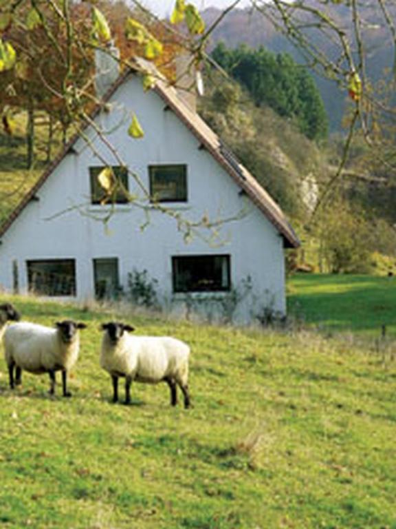 Chambre D'Hotes Les Champarts Tourville-la-Chapelle Esterno foto