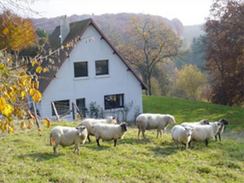 Chambre D'Hotes Les Champarts Tourville-la-Chapelle Esterno foto