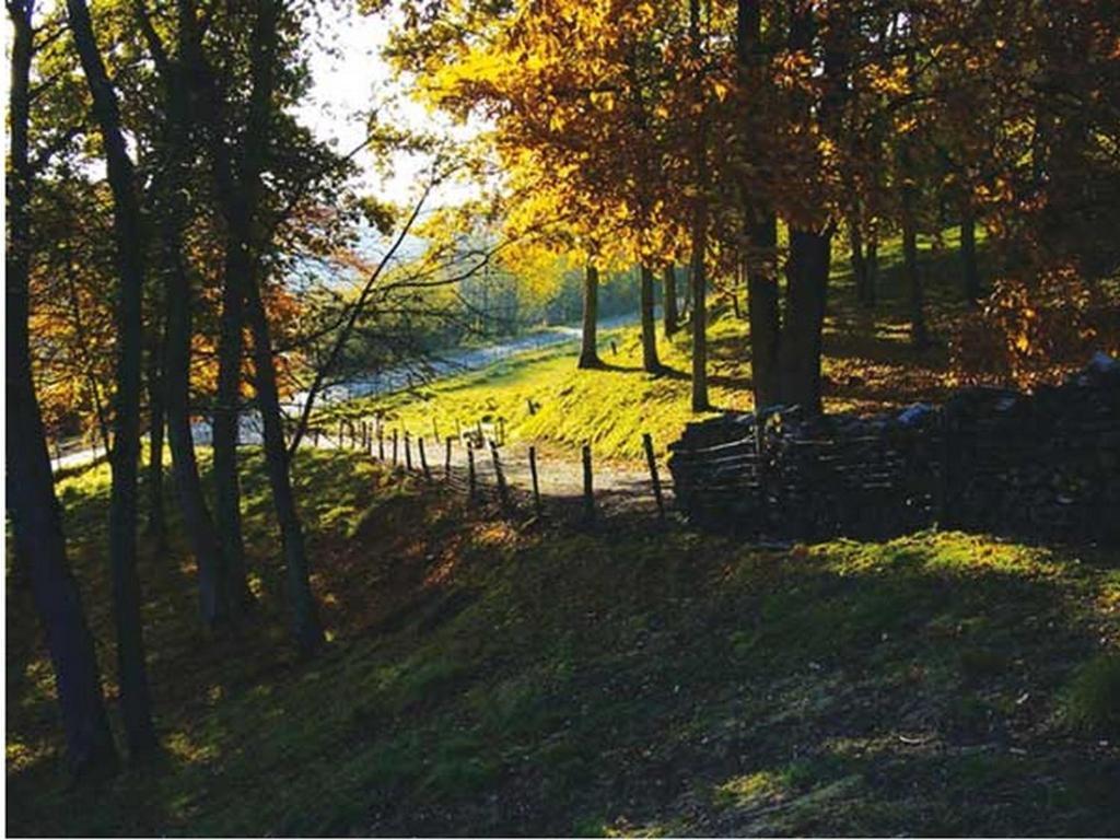 Chambre D'Hotes Les Champarts Tourville-la-Chapelle Esterno foto